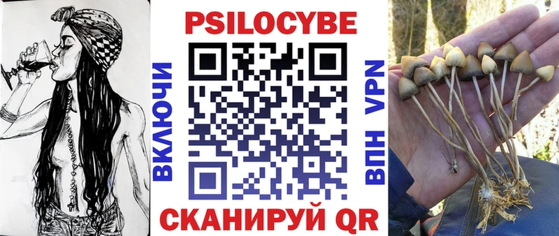 Галлюциногенные грибы GOLDEN TEACHER  Купить  Абинск 